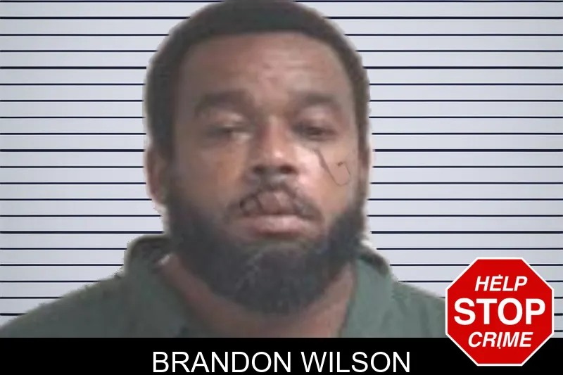 Brandon Wilson mugshot