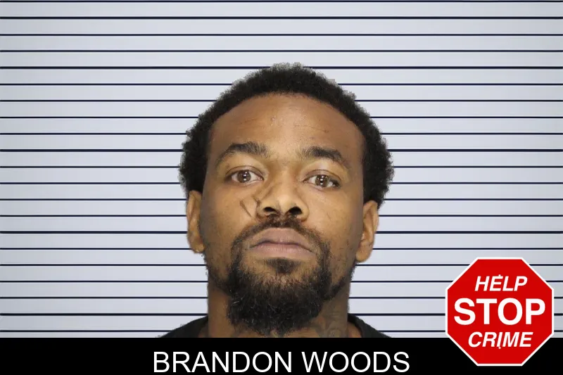 Brandon Woods mugshot – Cobb County , Georgia Brandon Woods mugshot