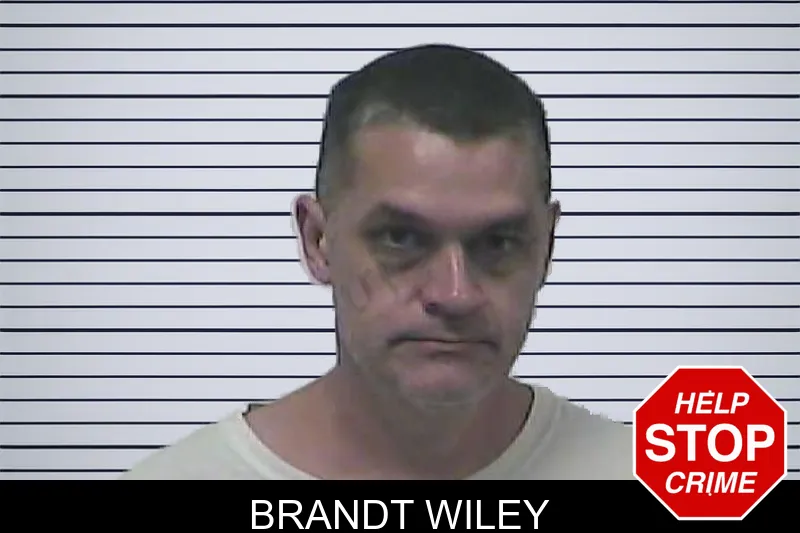 Brandt Wiley mugshot