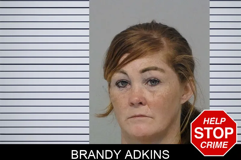 Brandy Adkins mugshot
