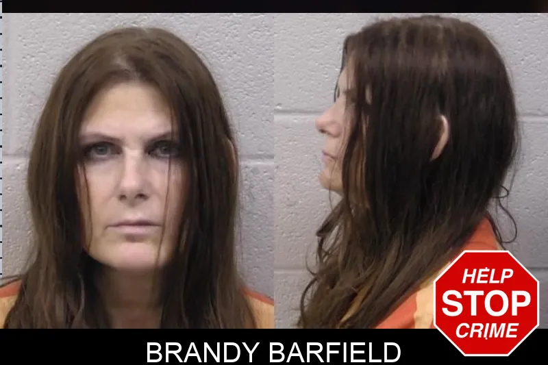 Brandy Barfield mugshot