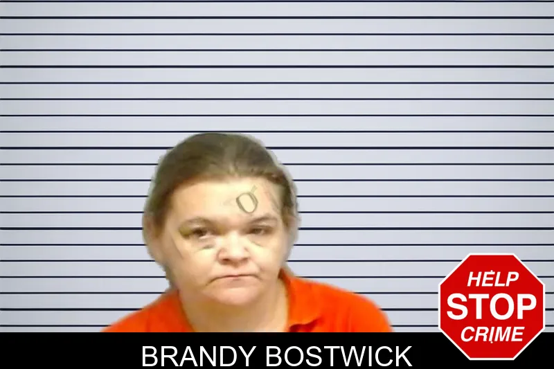 Brandy Bostwick mugshot