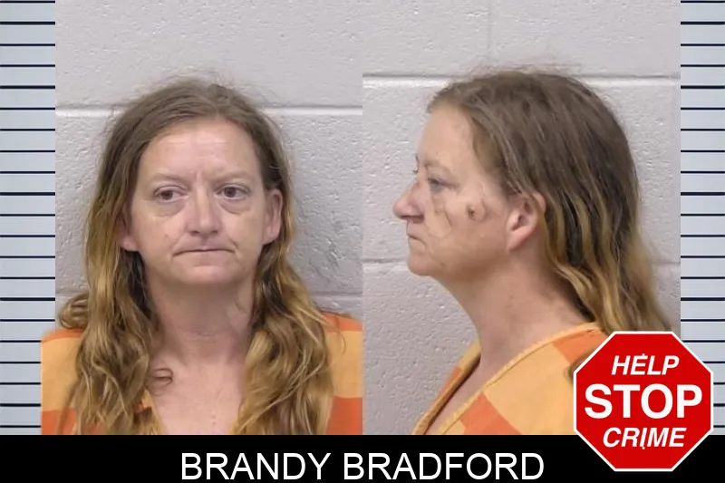 Brandy Bradford mugshot
