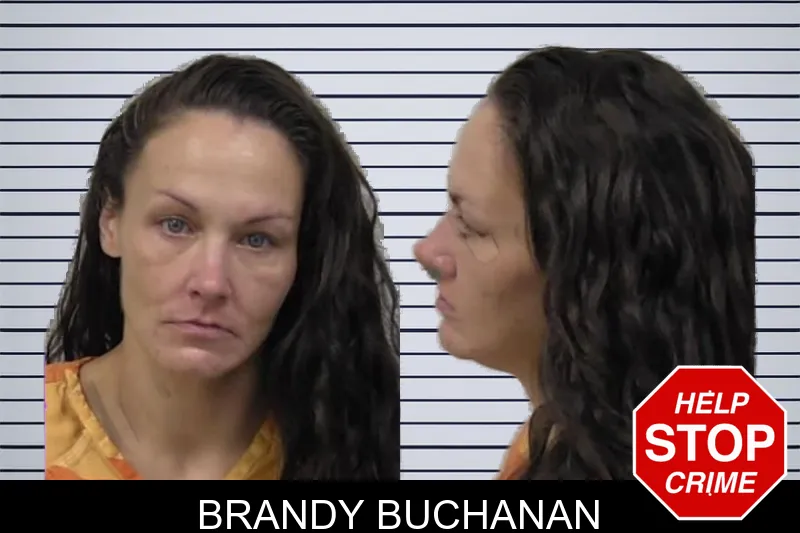 Brandy Buchanan mugshot