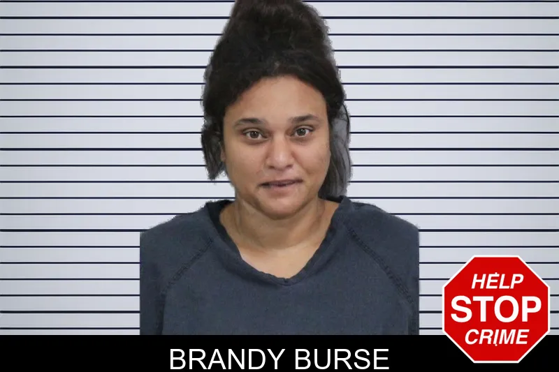Brandy Burse mugshot – Catoosa County , Georgia Brandy Burse mugshot