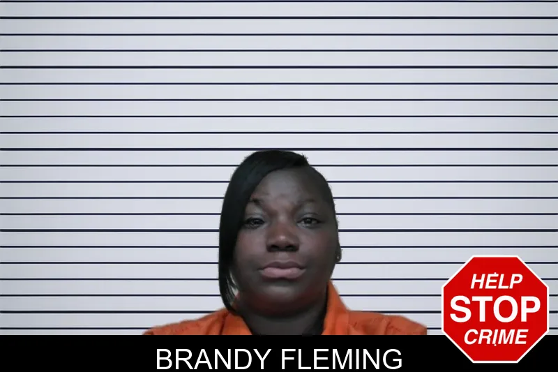 Brandy Fleming mugshot – Ben Hill County , Georgia Brandy Fleming mugshot