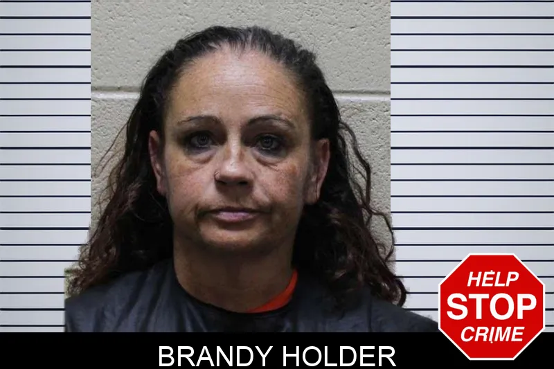 Brandy Holder mugshot