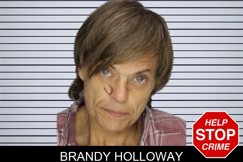 Brandy Holloway mugshot