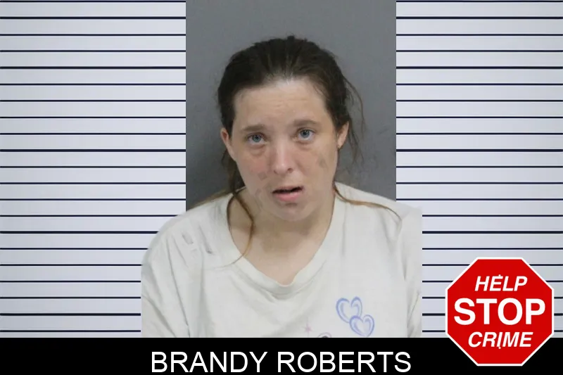 Brandy Roberts mugshot – Catoosa County , Georgia Brandy Roberts mugshot