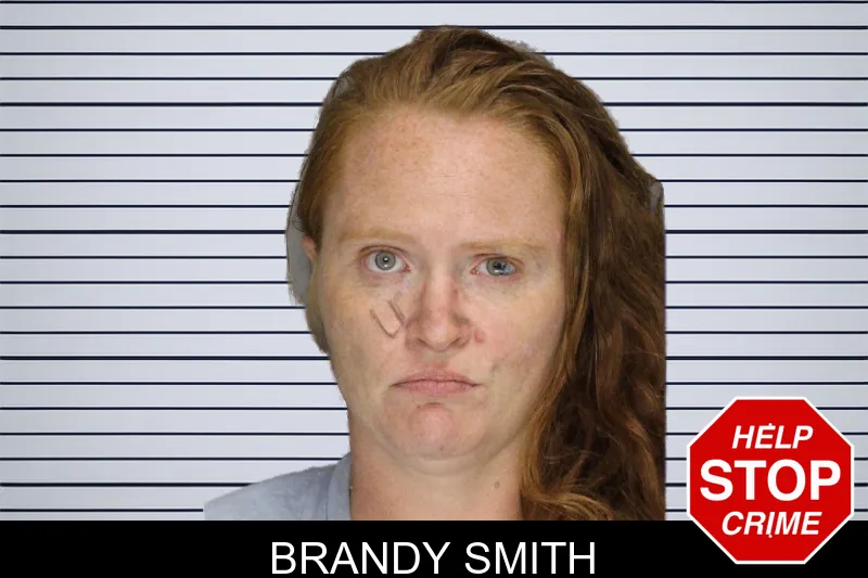 Brandy Smith mugshot