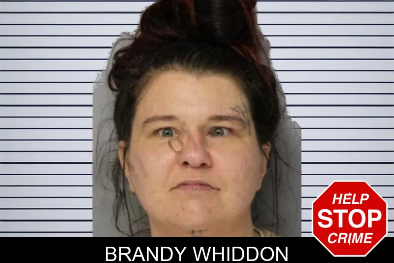 Brandy Whiddon mugshot
