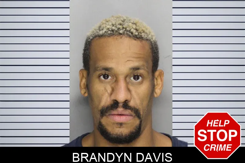 Brandyn Davis mugshot