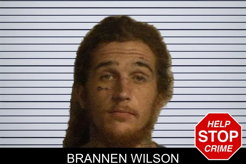 Brannen Wilson mugshot