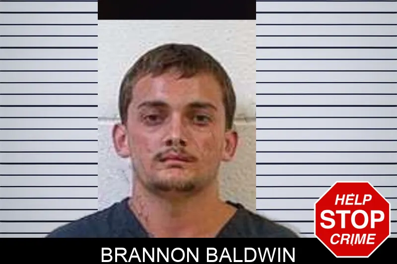 Brannon Baldwin mugshot – Polk County , Georgia Brannon Baldwin mugshot