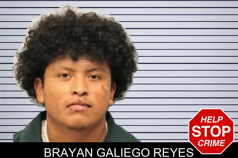 Brayan Galiego Reyes mugshot – Chatham County , Georgia Brayan Galiego Reyes mugshot