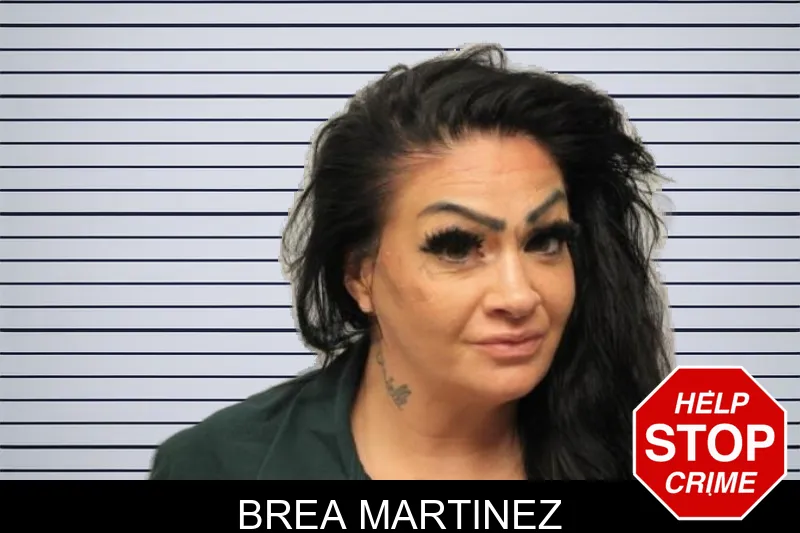 Brea Martinez mugshot