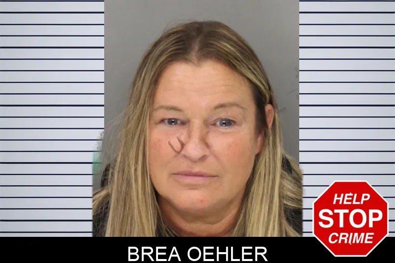 Brea Oehler mugshot
