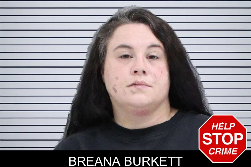 Breana Burkett mugshot