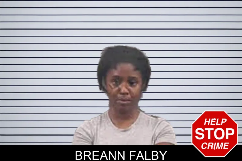 Breann Falby mugshot – Banks County , Georgia Breann Falby mugshot