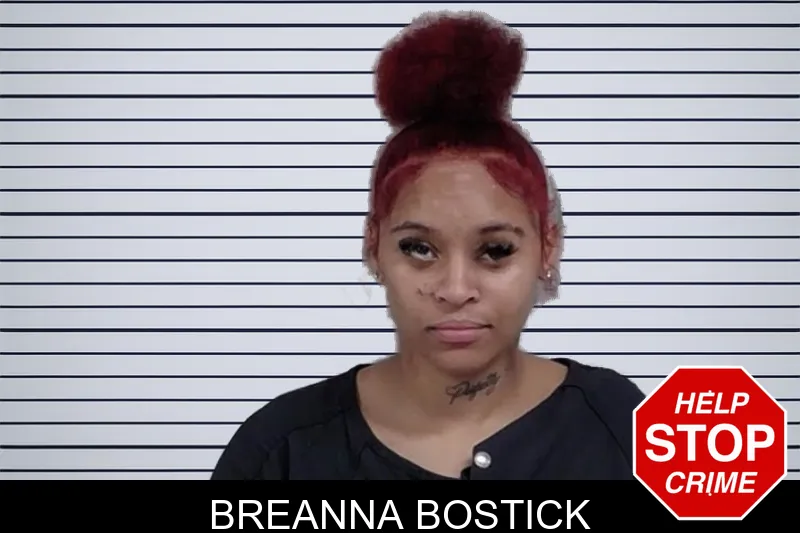 Breanna Bostick mugshot