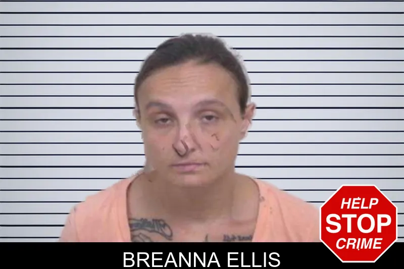 Breanna Ellis mugshot