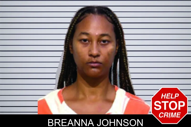 Breanna Johnson mugshot – Bartow County , Georgia Breanna Johnson mugshot