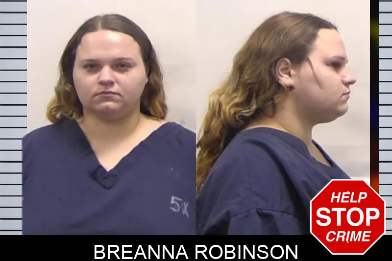 Breanna Robinson mugshot
