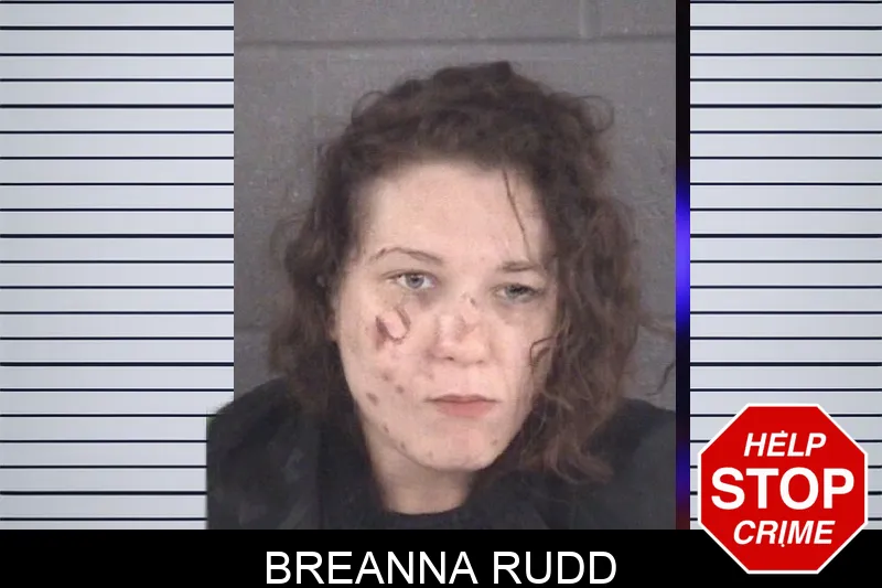 Breanna Rudd mugshot – Spalding County , Georgia Breanna Rudd mugshot
