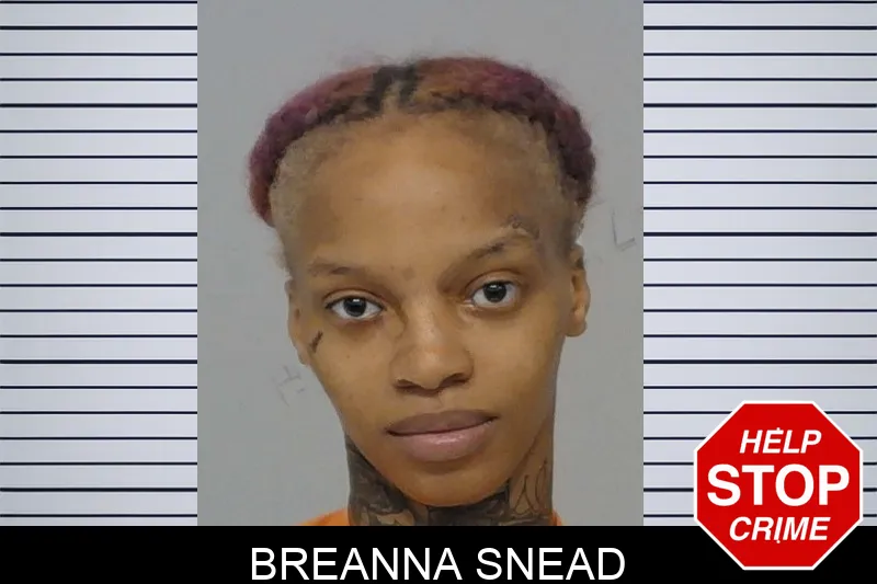 Breanna Snead mugshot