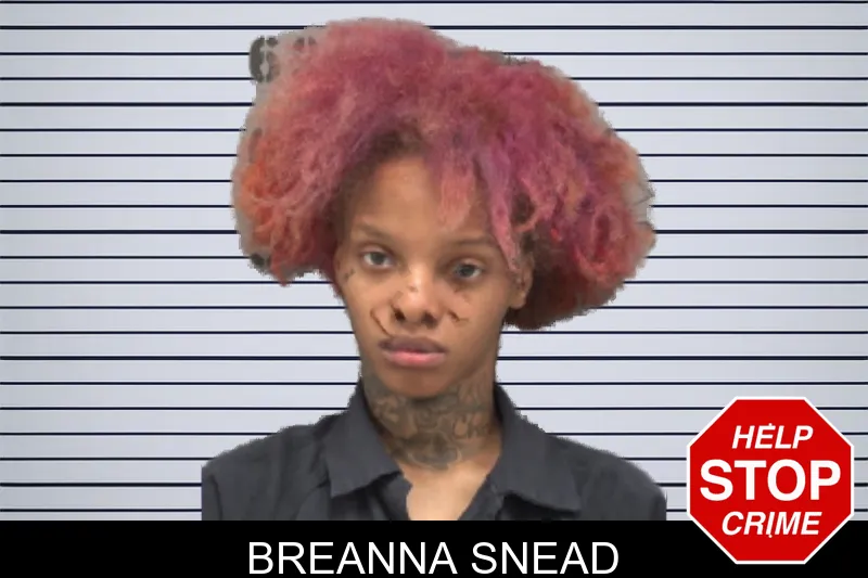 Breanna Snead mugshot