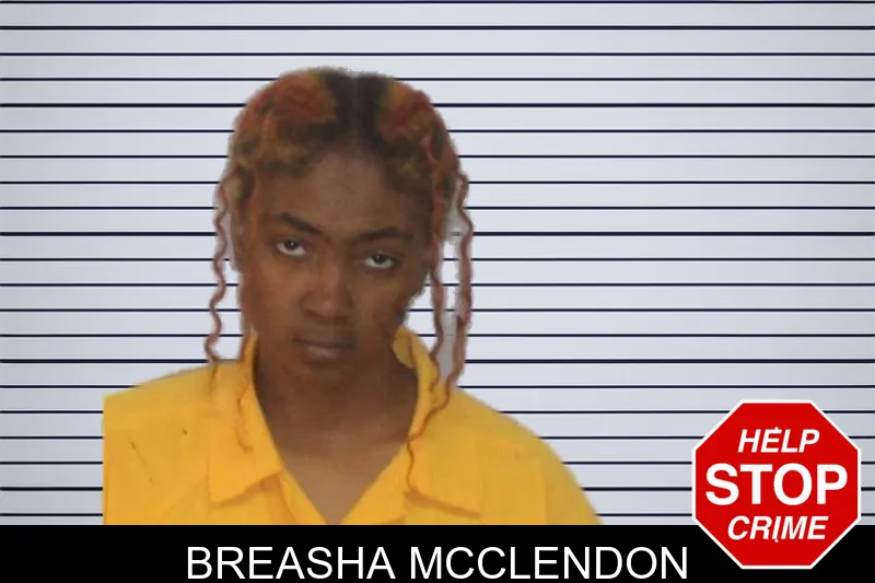 Breasha McClendon mugshot – Morgan County , Georgia Breasha McClendon mugshot