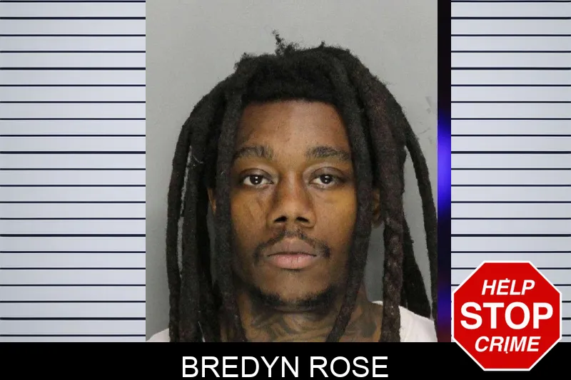 Bredyn Rose mugshot