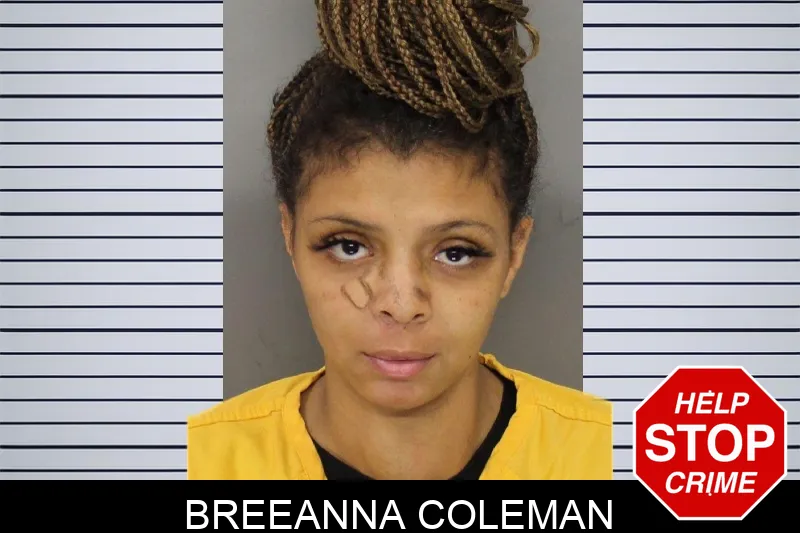 Breeanna Coleman mugshot – Cobb County , Georgia Breeanna Coleman mugshot