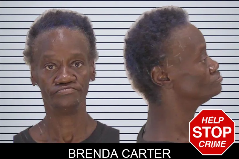 Brenda Carter mugshot