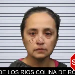Brenda De Los Rios Colina De Rodriguez mugshot – Forsyth County , Georgia Brenda De Los Rios Colina De Rodriguez mugshot