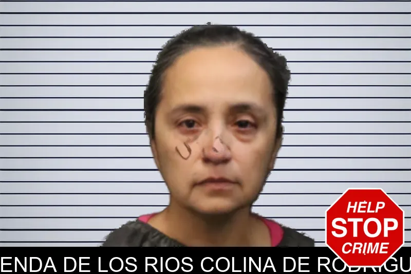 Brenda De Los Rios Colina De Rodriguez mugshot