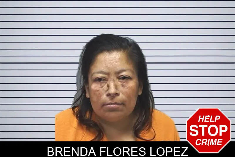 Brenda Flores Lopez mugshot