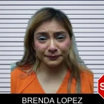 Brenda Lopez mugshot – Dade County , Georgia Brenda Lopez mugshot