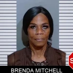Brenda Mitchell mugshot