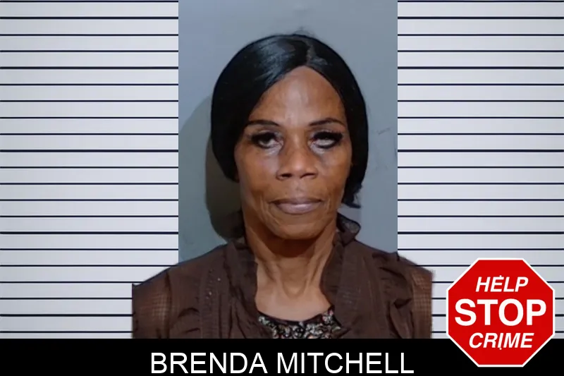 Brenda Mitchell mugshot