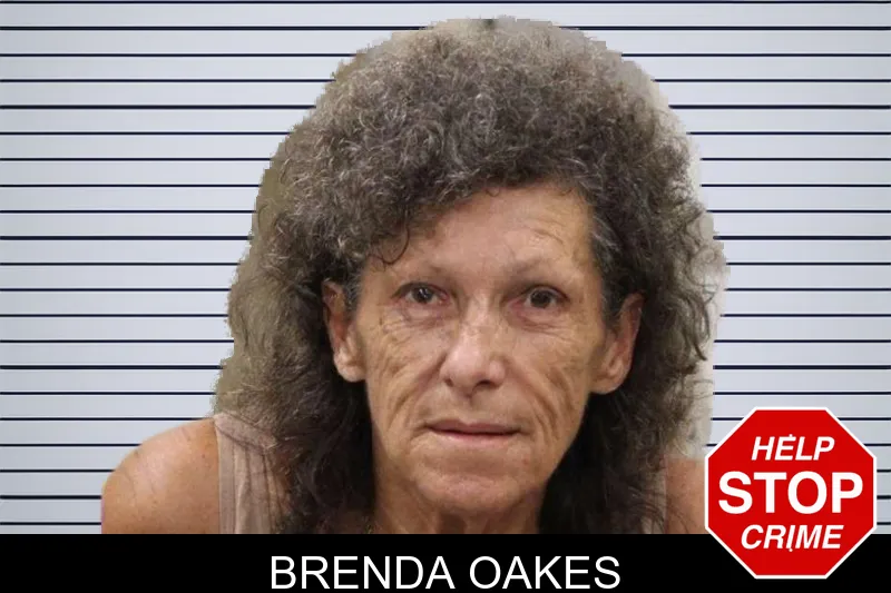 Brenda Oakes mugshot