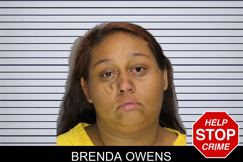 Brenda Owens mugshot
