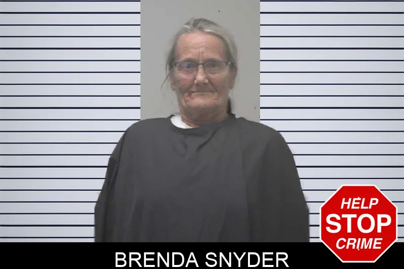 Brenda Snyder mugshot – Coweta County , Georgia Brenda Snyder mugshot