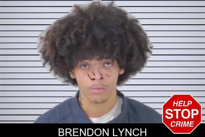 Brendon Lynch mugshot – Lowndes County , Georgia Brendon Lynch mugshot