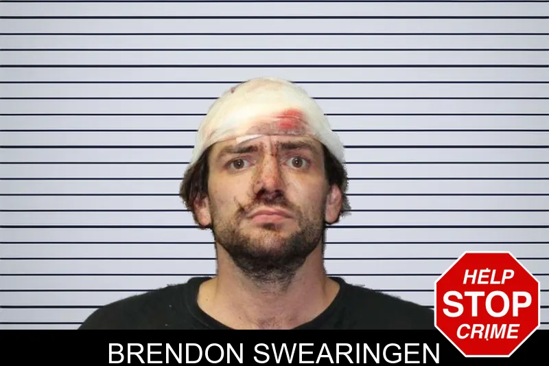 Brendon Swearingen mugshot
