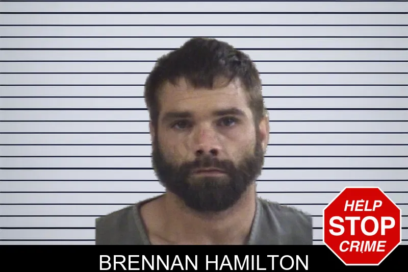 Brennan Hamilton mugshot
