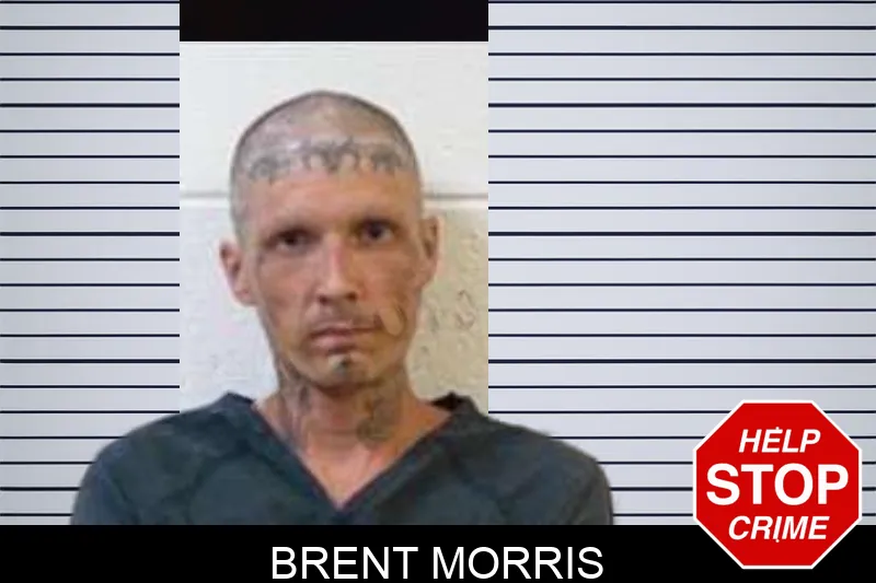 Brent Morris mugshot