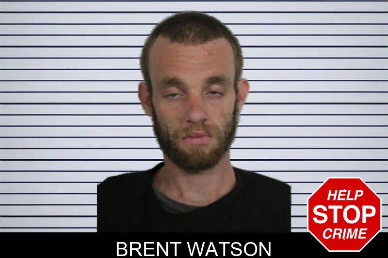 Brent Watson mugshot