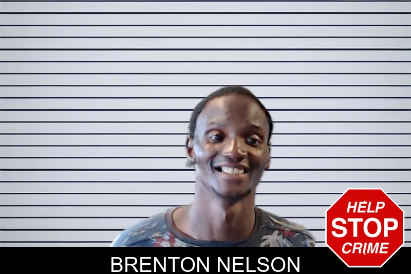 Brenton Nelson mugshot – DeKalb County , Georgia Brenton Nelson mugshot