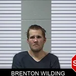 Brenton Wilding mugshot